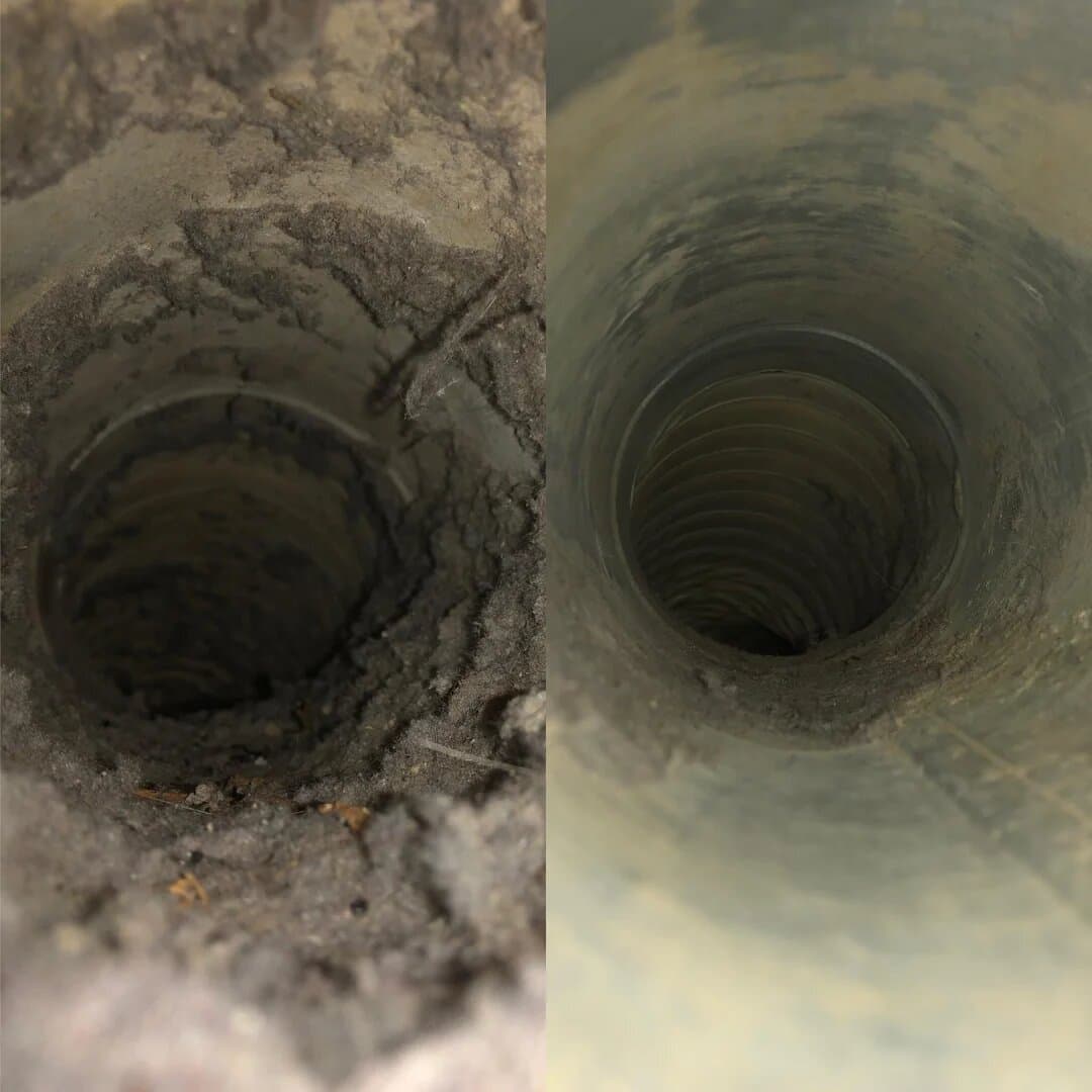 Before and after dryer vent cleaning — Oak Bay single-family home